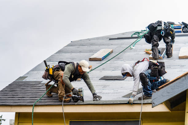 Professional Gutter Installation technician working in Houston, OH